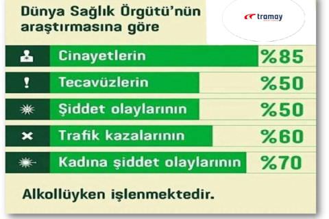 Trafik Kazası Nedenleri